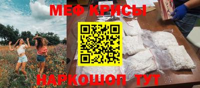 гашик Камышлов