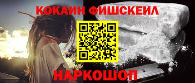 гашик Камышлов