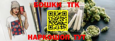 гашик Камышлов