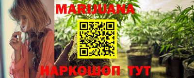 гашик Камышлов