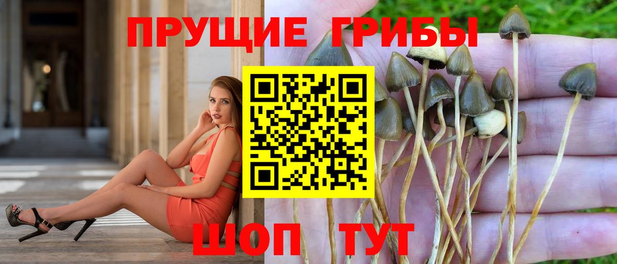 Псилоцибиновые грибы мухоморы Бирск